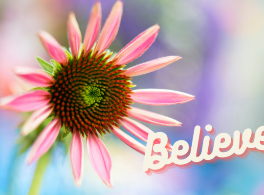 believe you can